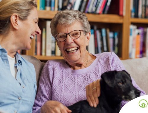 What Dementia Care at Home Actually Teaches You: The Shift New Caregivers Don’t Expect